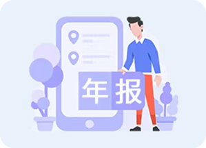 企业年报